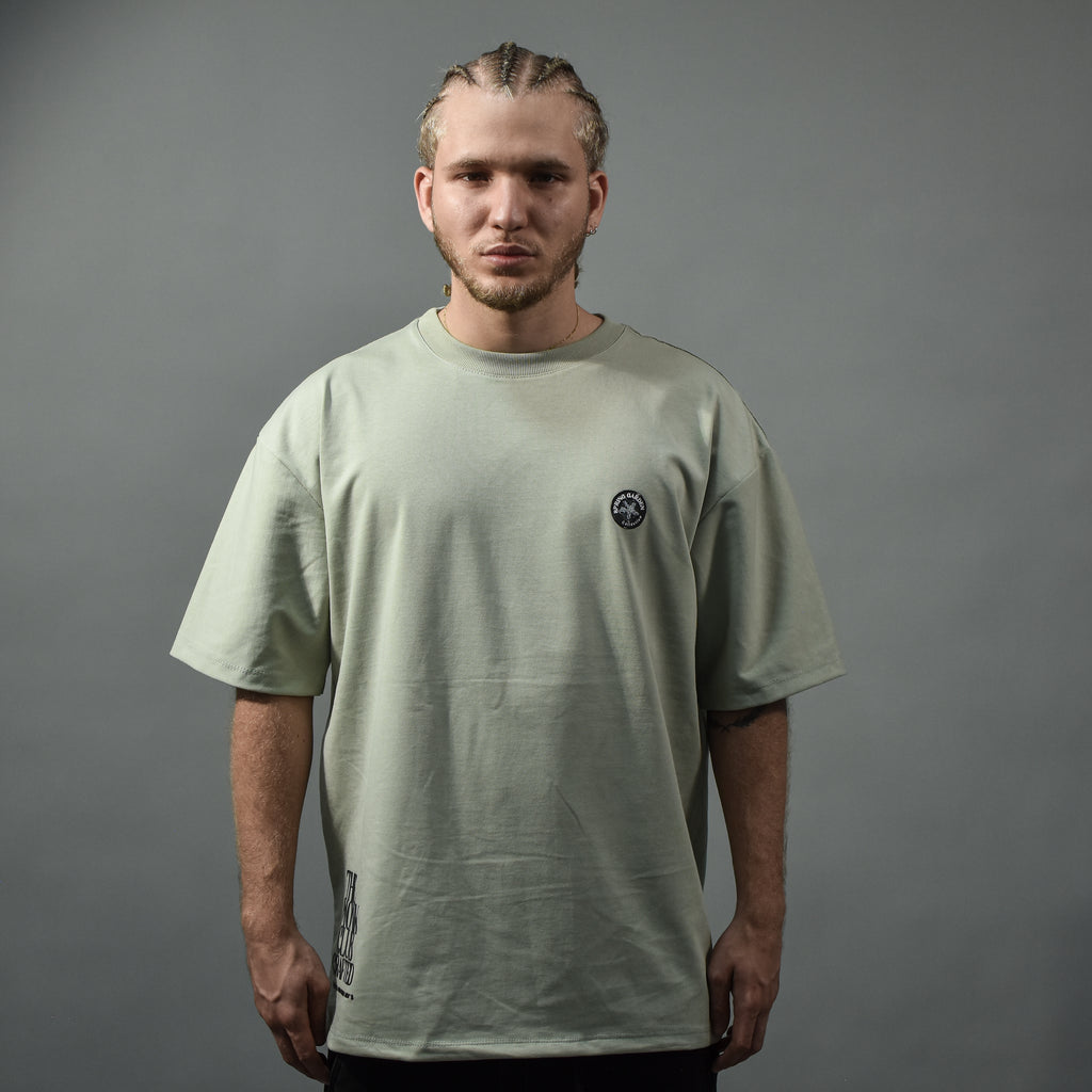 Iridescent,Oversized t-shirt pistacho