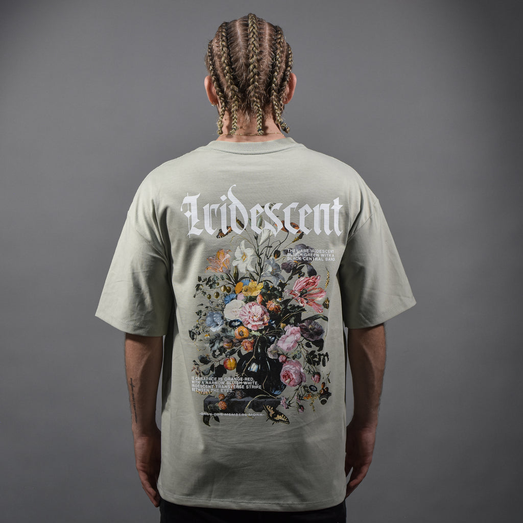 Iridescent,Oversized t-shirt pistacho